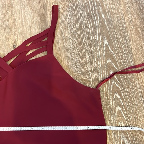 Naked Zebra Tank, size medium - Picture 3 of 3